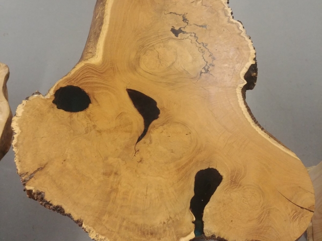 Table  "Root of tree"