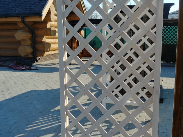 Arch with a Through Passage (0142)