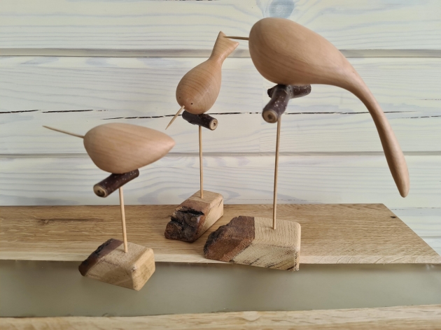 SET OF FIGURES "BIRDS"