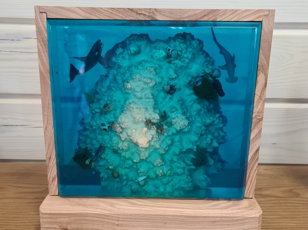 LAMP CORAL