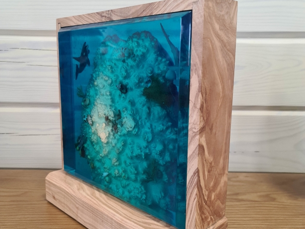 LAMP CORAL