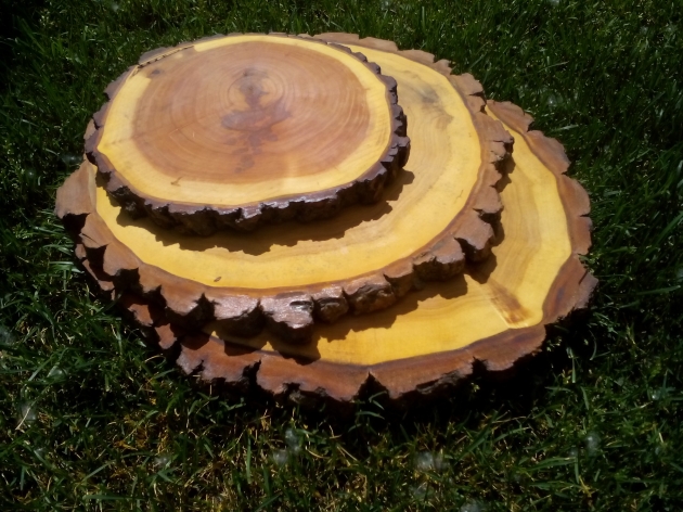 POPLAR`S CUT