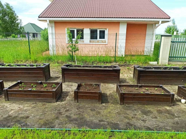 Decorative Garden Beds