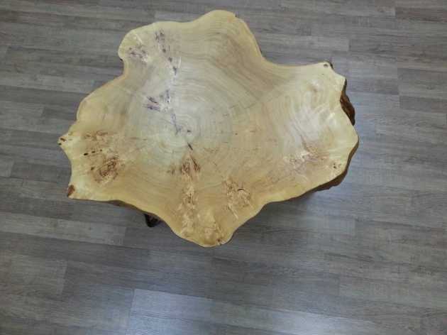 Table of Black Poplar`s Cut (0020)