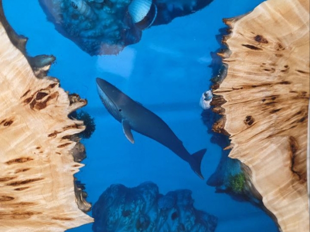 СВІТИЛЬНИК SHARK