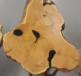 Table  "Root of tree"