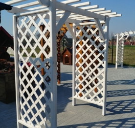 Arch with a Through Passage (0142)