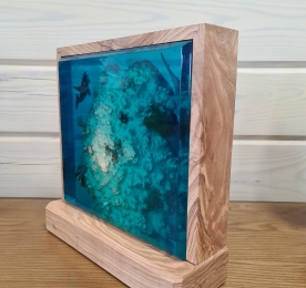 LAMP CORAL