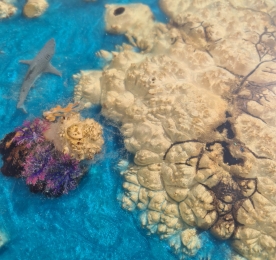 ЖУРНАЛЬНИЙ СТОЛИК OCEAN