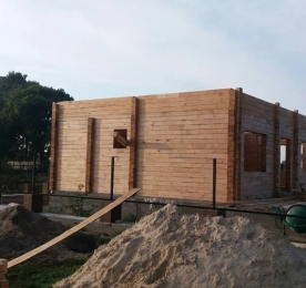 PROJECT NVO 113