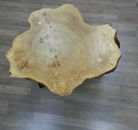 Table of Black Poplar`s Cut (0020)