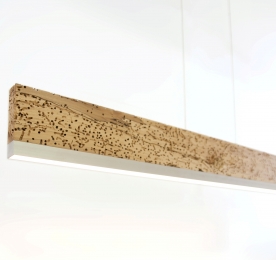 LAMP PLANC 1000