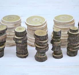 Набір зрізів. Оцтове дерево (Сумах)