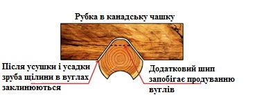 tehnolog 2